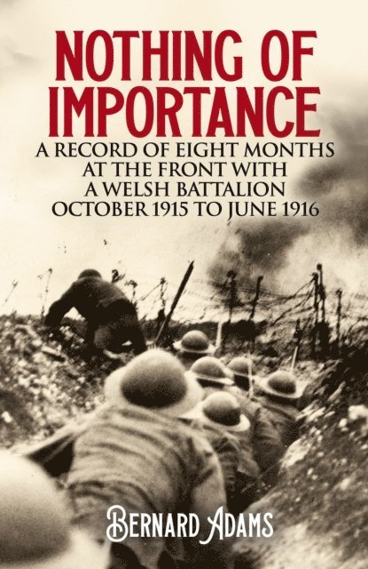 Bernard Adams - Nothing of Importance, E-bok