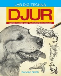 LÃ¿r Dig Teckna Djur