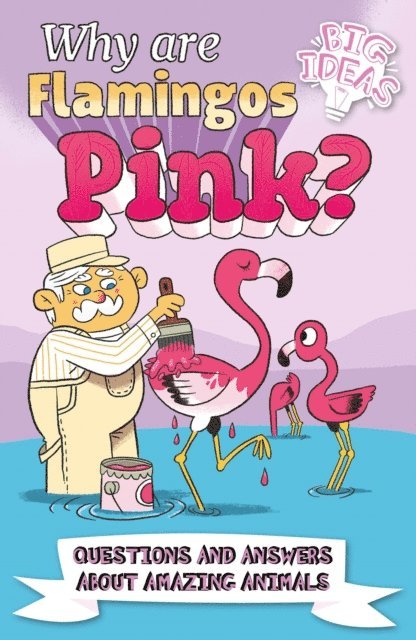 Clare Hibbert, William Potter - Why Are Flamingos Pink?, E-bok