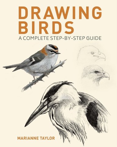 Marianne Taylor - Drawing Birds, Häftad