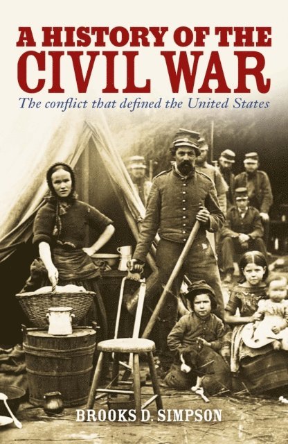 Brooks D  Simpson - History of the Civil War, E-bok