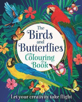 Tansy Willow - Birds and Butterflies Colouring Book, Häftad