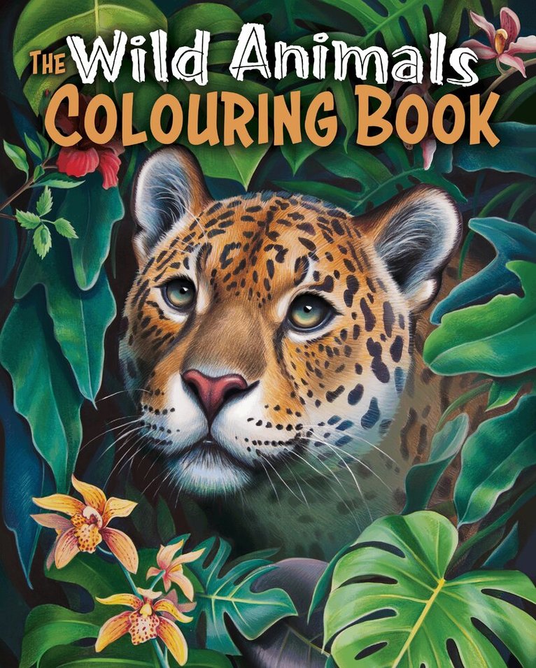Tansy Willow - Wild Animals Colouring Book, Häftad. Tillgänglighet: Lägg i varukorg