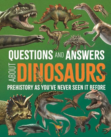 Clare Hibbert, Felicity Forster - Questions and Answers About Dinosaurs, Inbunden