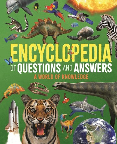 Clare Hibbert, Claudia Martin, Giles Sparrow, Felicity Forster, Michael Leach, Meriel Lland - Encyclopedia of Questions and Answers, Inbunden