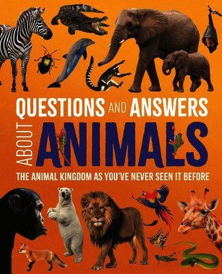 Felicity Forster, Michael Leach, Meriel Lland - Questions and Answers About Animals, Inbunden