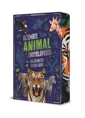 Claudia Martin - Ultimate Animal Encyclopedia: The Definitive Visual Guide, Häftad
