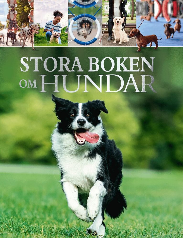 Claudia Martin - Stora boken om hundar, Inbunden