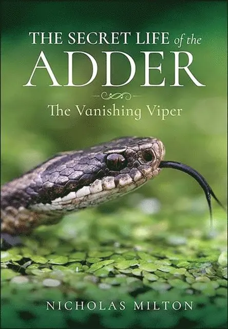 Nicholas Milton - Secret Life of the Adder, E-bok. Tillgänglighet: Lägg i varukorg