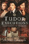 Tudor Executions