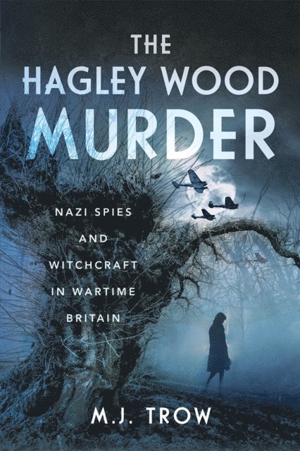 M. J. Trow - Hagley Wood Murder, E-bok