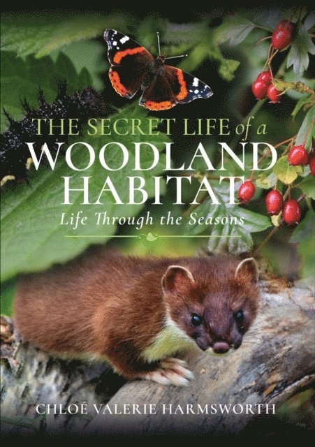 Secret Life of a Woodland Habitat