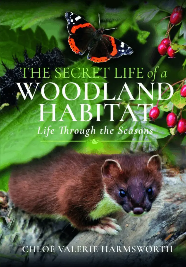 Chloé Valerie Harmsworth - Secret Life of a Woodland Habitat, Häftad. Tillgänglighet: Lägg i varukorg