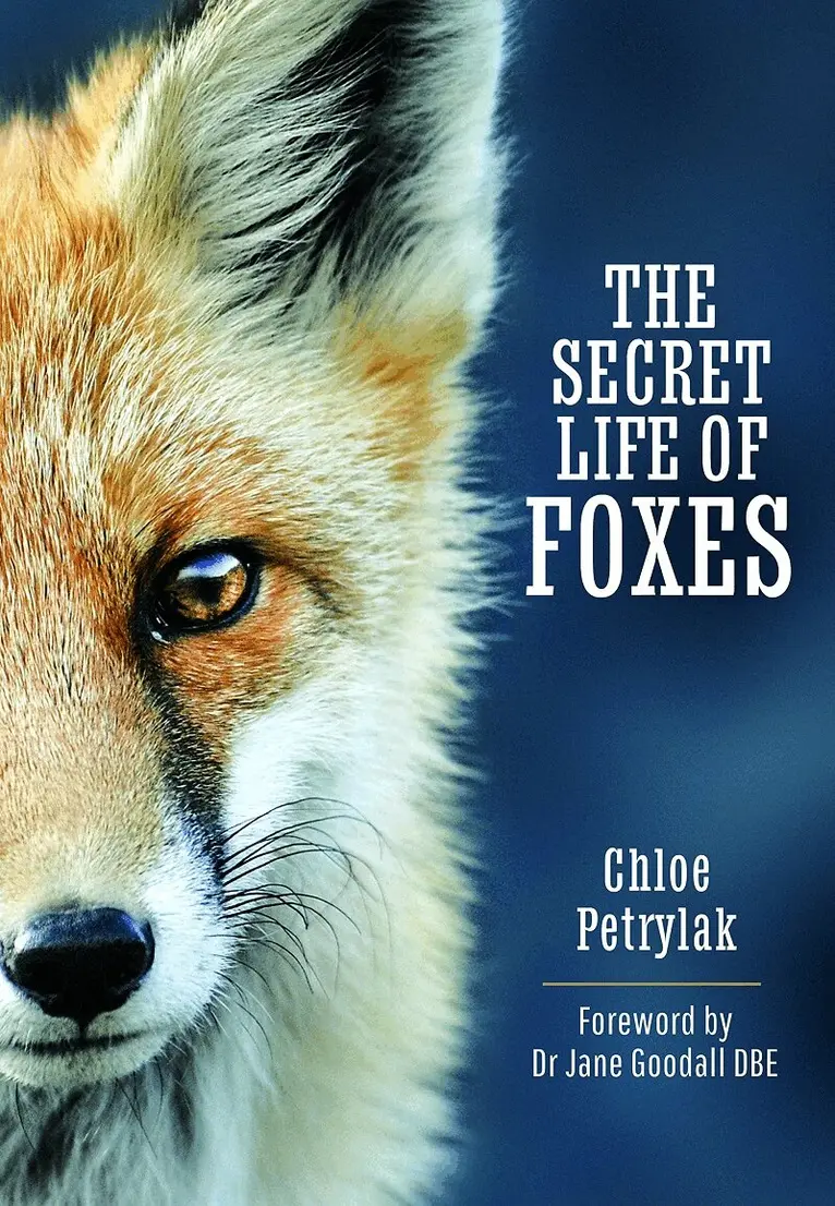 Chloe Petrylak - Secret Life of Foxes, Inbunden. Tillgänglighet: Lägg i varukorg