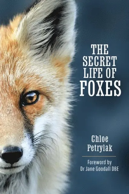 Chloe Petrylak - Secret Life of Foxes, E-bok. Tillgänglighet: Lägg i varukorg