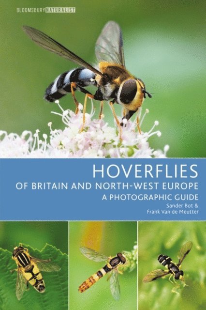 Sander Bot, Frank Van de Meutter - Hoverflies of Britain and North-west Europe, E-bok