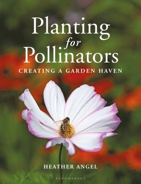 Heather Angel - Planting for Pollinators, E-bok. Tillgänglighet: Lägg i varukorg