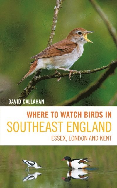 David Callahan - Where to Watch Birds in Southeast England, E-bok
