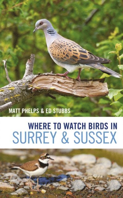 Matthew Phelps, Ed Stubbs - Where to Watch Birds in Surrey and Sussex, E-bok