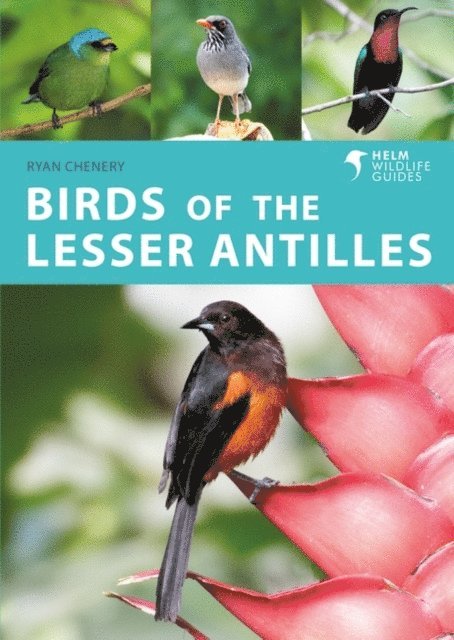 Ryan Chenery - Birds of the Lesser Antilles, E-bok