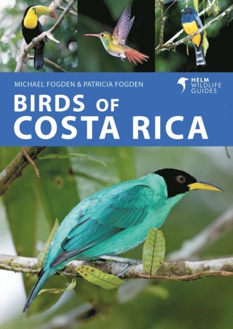 Michael Fogden, Patricia Fogden - Birds of Costa Rica, E-bok