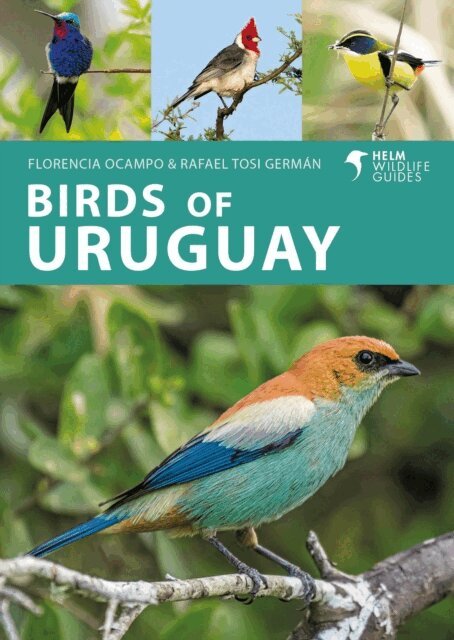 Florencia Ocampo, Rafael Tosi Germán - Birds of Uruguay, E-bok