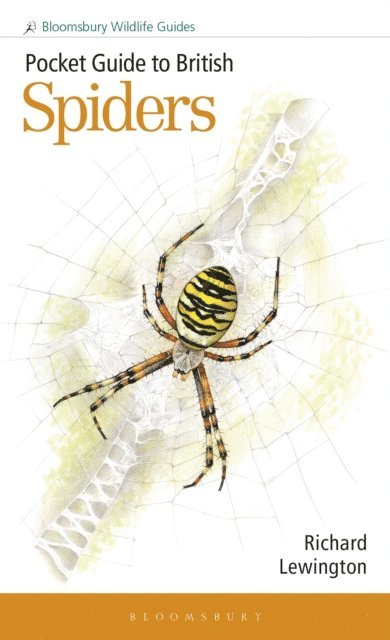 Richard Lewington - Pocket Guide to British Spiders, E-bok