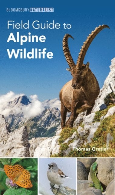 Thomas Gretler - Field Guide to Alpine Wildlife, E-bok