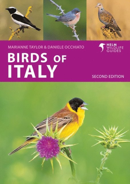 Marianne Taylor, Daniele Occhiato - Birds of Italy, E-bok