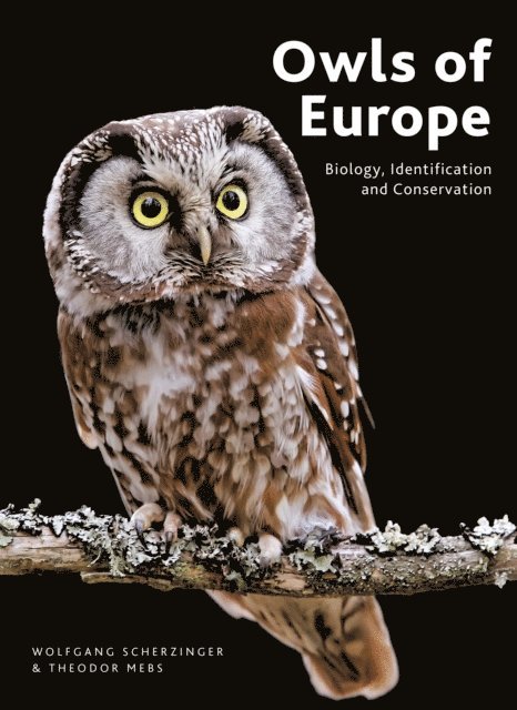 Wolfgang Scherzinger, Theodor Mebs - Owls of Europe, E-bok