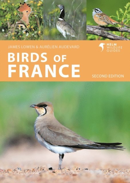 James Lowen, Aurélien Audevard - Birds of France, E-bok