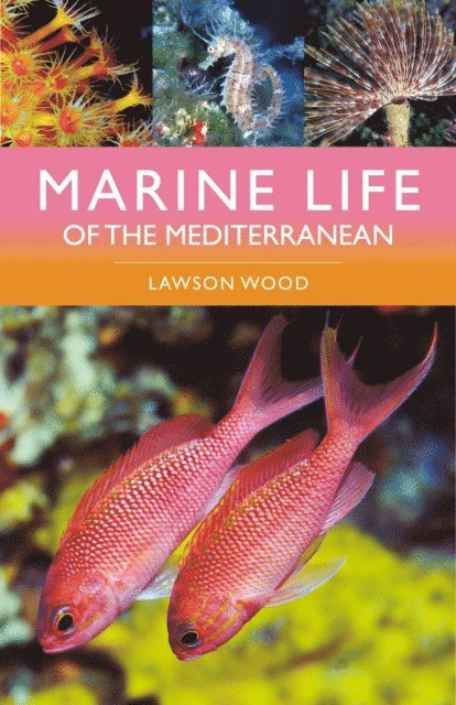 Lawson Wood - Marine Life of the Mediterranean, E-bok