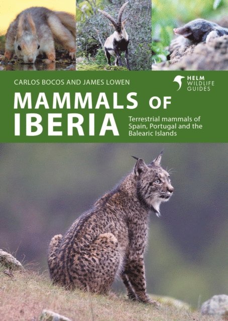 Carlos Bocos Gonzalez, James Lowen - Mammals of Iberia, E-bok