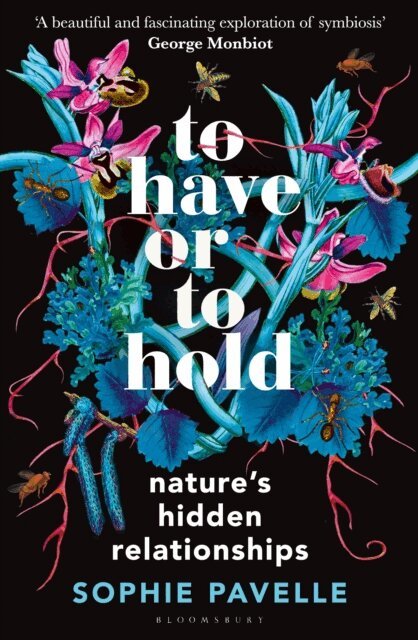 Sophie Pavelle - To Have or To Hold, E-bok