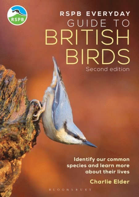 Charlie Elder - RSPB Everyday Guide to British Birds, E-bok