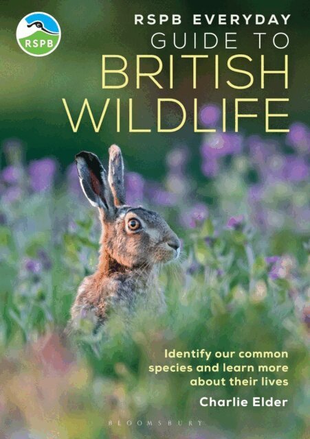 Charlie Elder - RSPB Everyday Guide to British Wildlife, E-bok
