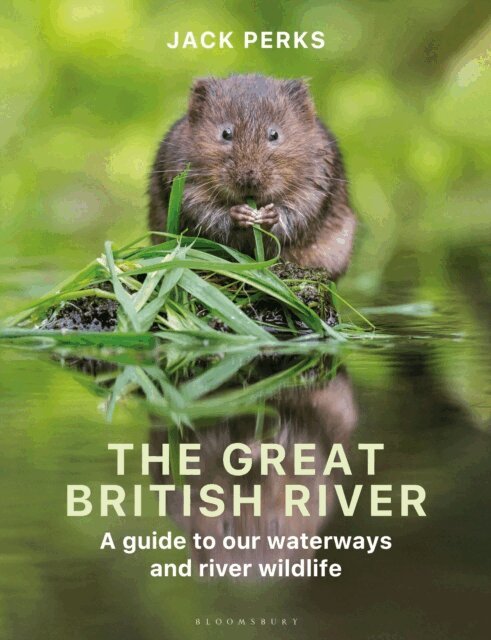 Jack Perks - Great British River, E-bok