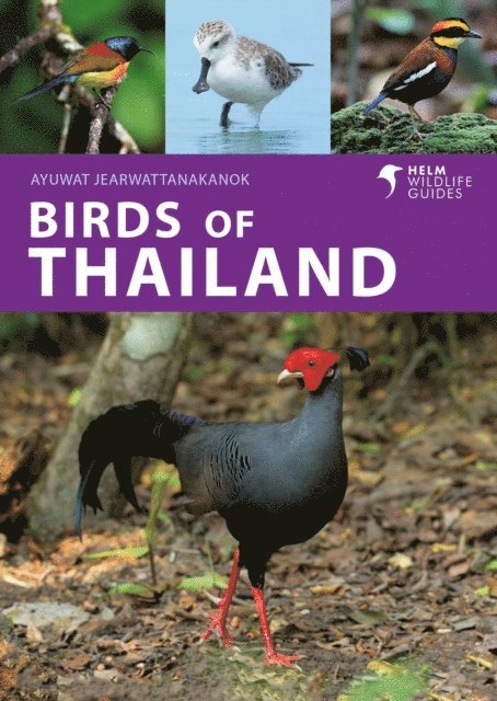 Ayuwat Jearwattanakanok - Birds of Thailand, E-bok