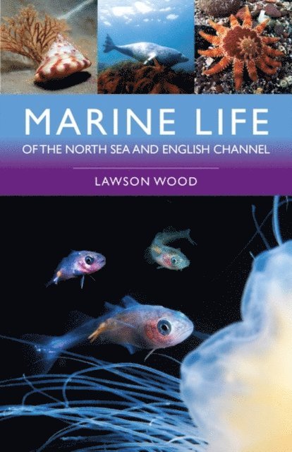 Lawson Wood - Marine Life of the North Sea and English Channel, E-bok