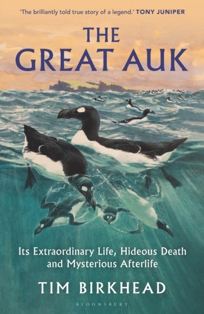 Tim Birkhead - Great Auk, E-bok