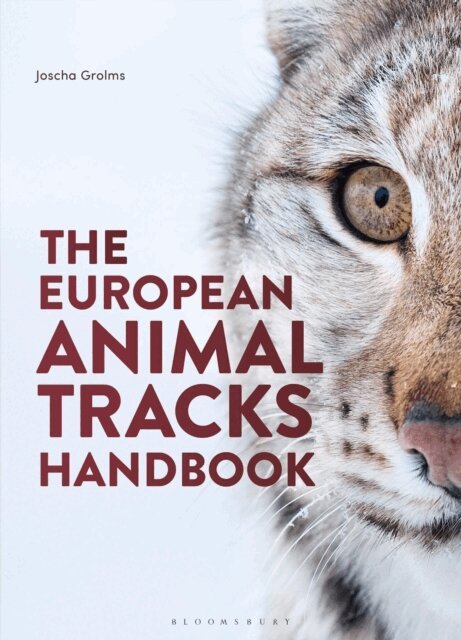 Joscha Grolms - European Animal Tracks Handbook, E-bok