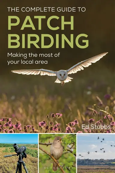 Complete Guide to Patch Birding