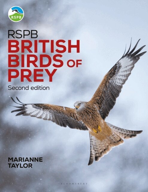 Marianne Taylor - RSPB British Birds of Prey, E-bok