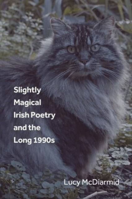 Lucy McDiarmid - Slightly Magical Irish Poetry and the Long 1990s, E-bok