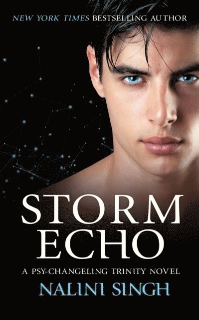 Nalini Singh - Storm Echo, E-bok