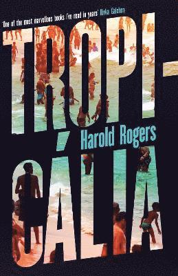 Harold Rogers - Tropicália, Inbunden