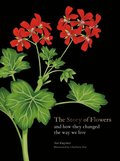 Story of Flowers