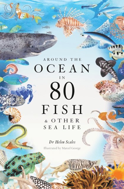 Helen Scales - Around the Ocean in 80 Fish and other Sea Life, E-bok