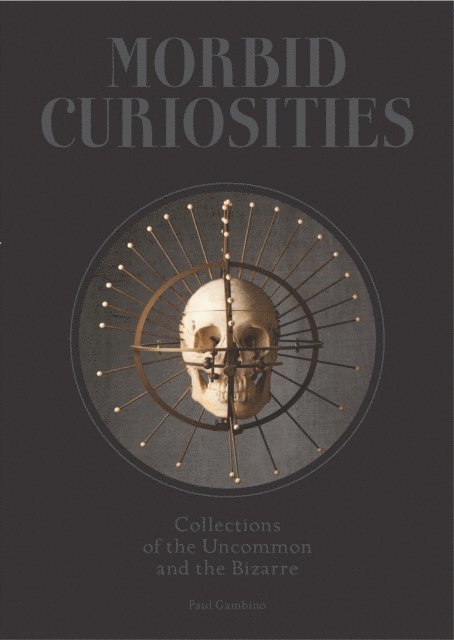 Paul Gambino - Morbid Curiosities, E-bok