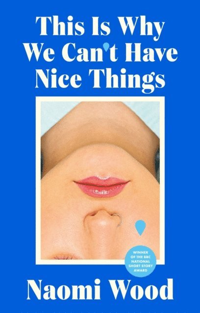 Naomi Wood - This Is Why We Can't Have Nice Things, E-bok